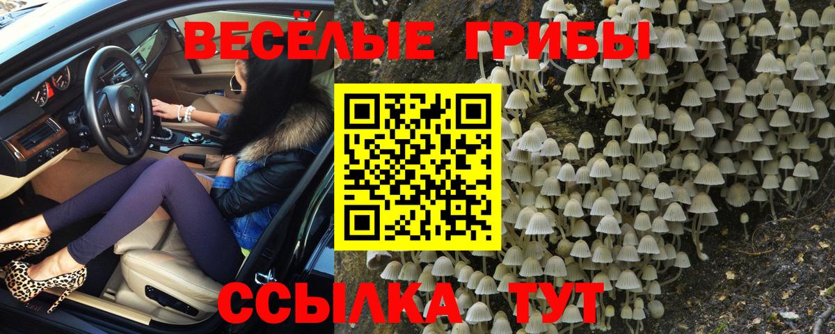 Галлюциногенные грибы ЛСД Новотроицк